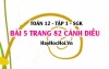 Bài 5 trang 82 Toán 12 tập 1 Cánh Diều